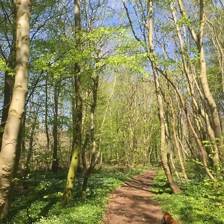 Lägenhet Anesminde Give