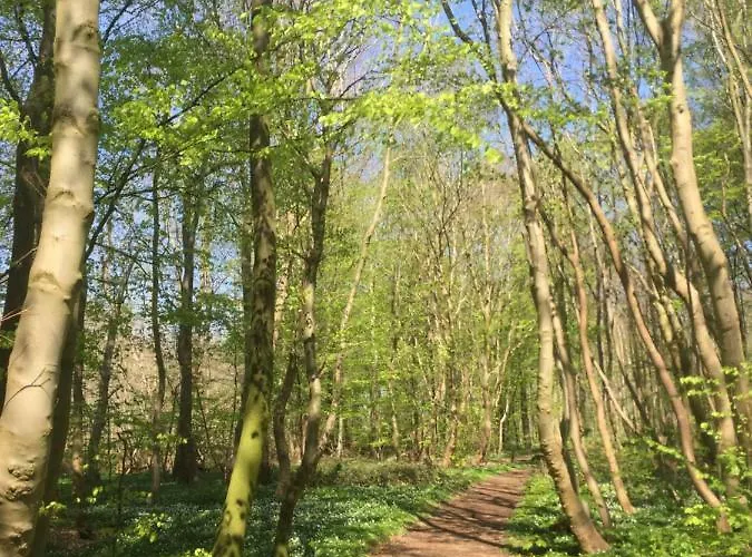 Appartement Anesminde Give